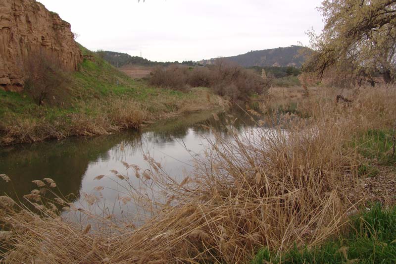 DSC06725