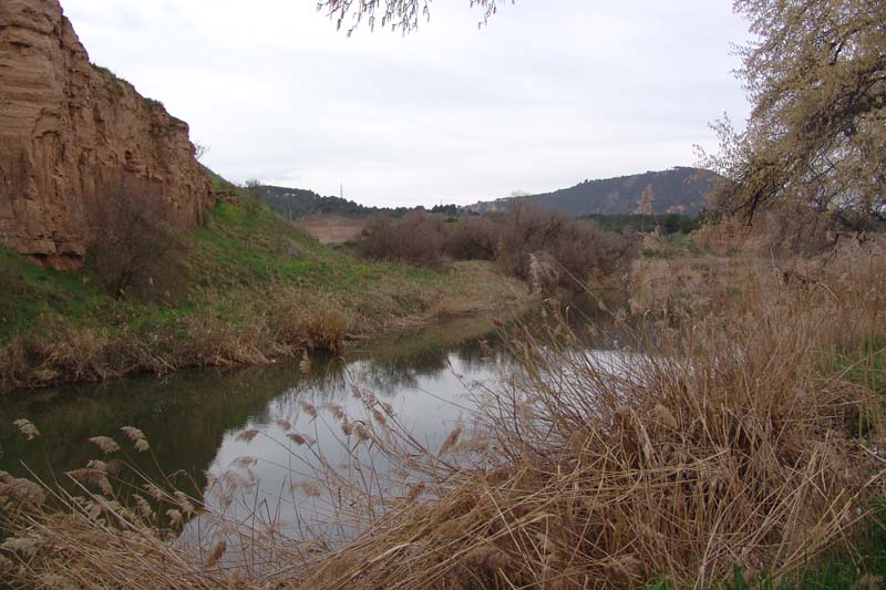 DSC06729