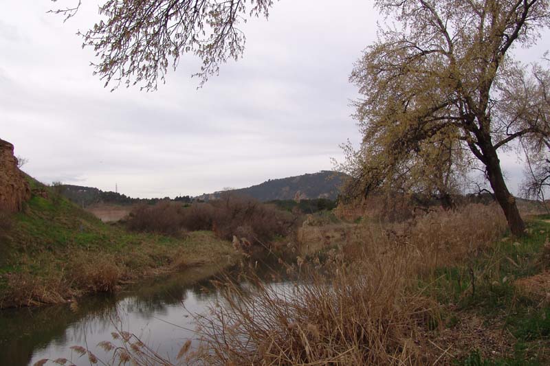 DSC06730