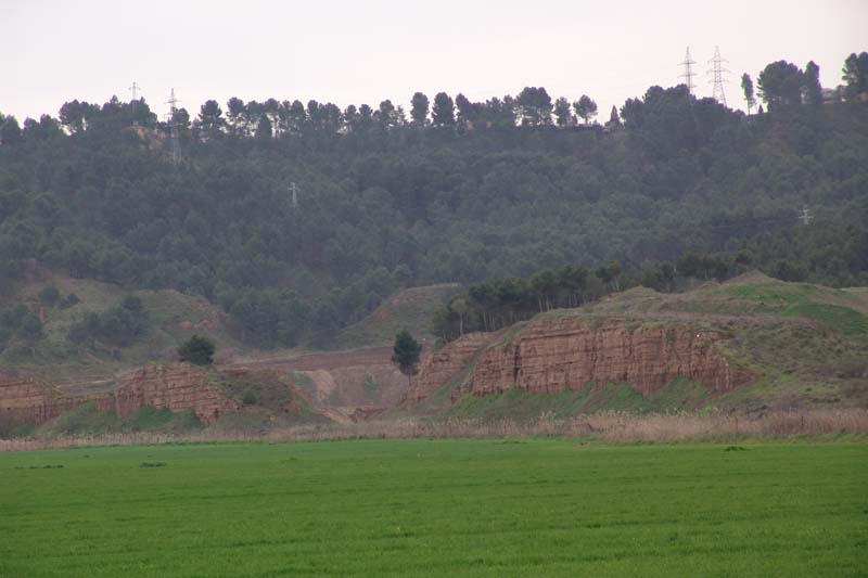 DSC06753
