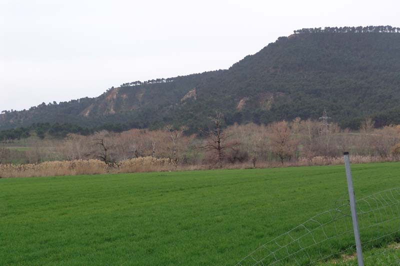 DSC06754