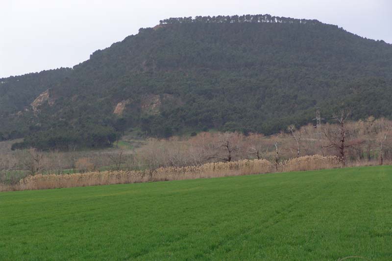DSC06756